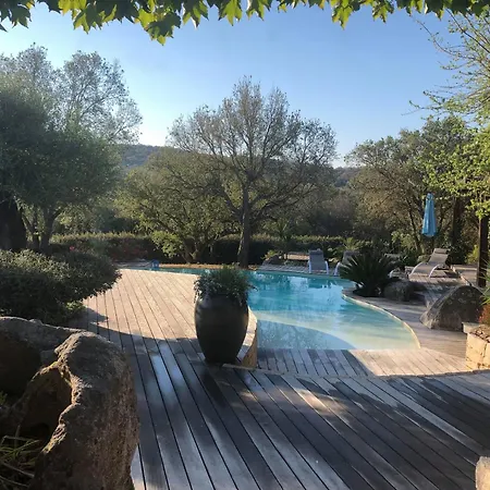 Valentine By Intendance Excellency Porto-Vecchio (Corsica)