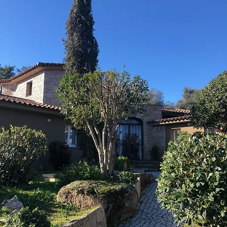 Willa Valentine By Intendance Excellency