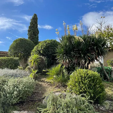 Valentine By Intendance Excellency Porto-Vecchio (Corsica)