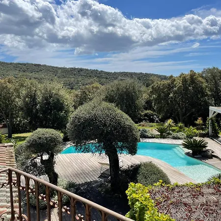 Willa Valentine By Intendance Excellency *