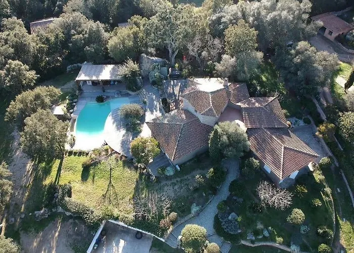 Valentine By Intendance Excellency