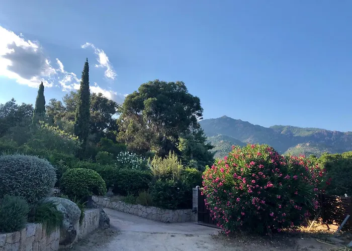 Valentine By Intendance Excellency Villa Porto-Vecchio (Corsica)