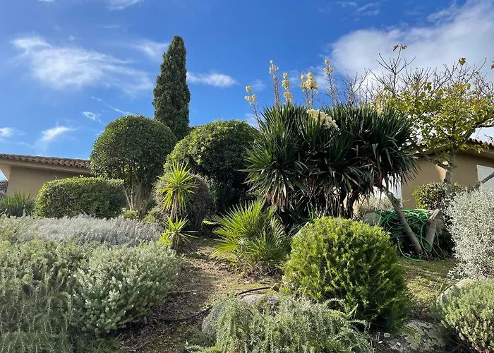 Valentine By Intendance Excellency 维琪奥港